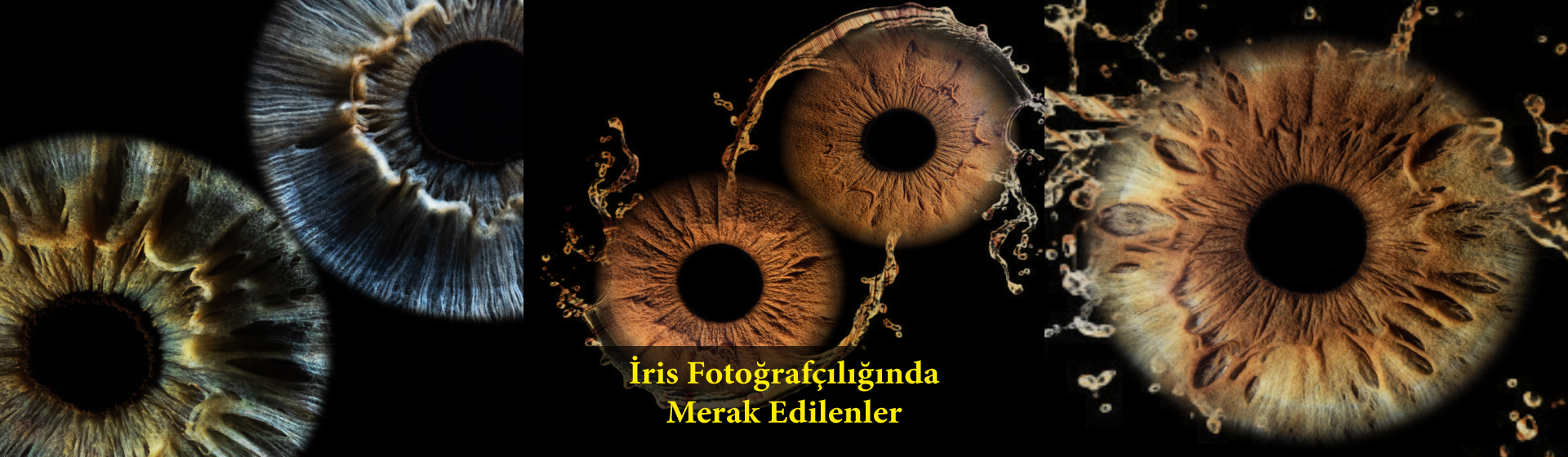 iris_fotografciligi