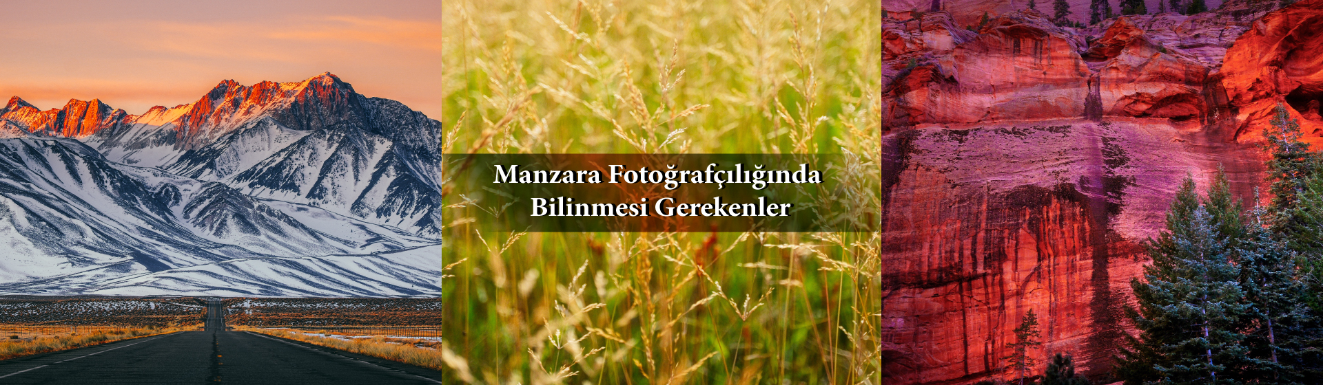 manzara_fotografciligi