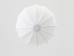 Godox CS65D 65cm Balon Softbox