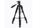 Arcury TP04 Tripod