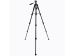 Arcury TP04 Tripod