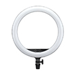 Ring LED